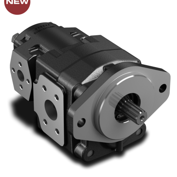 CAST IRON GEAR PUMPS-3TPW SERIES PUMPS