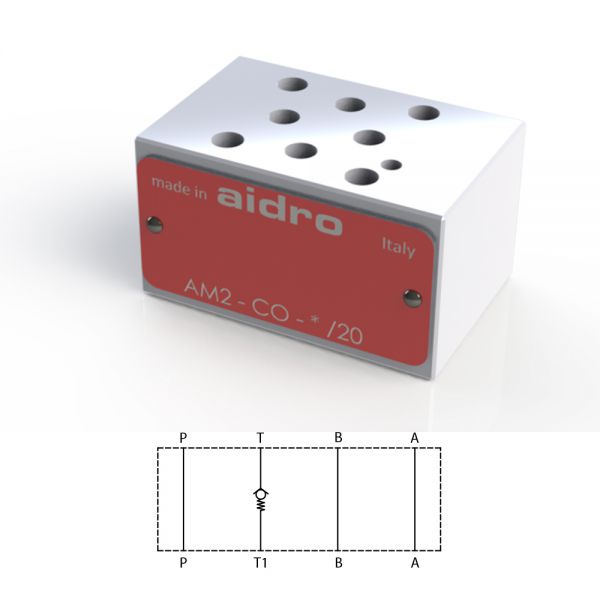DİREKT UYARILI ÇEK VALFLER-AM2-CO-*/20